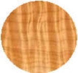 curly maple