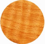 curly oak